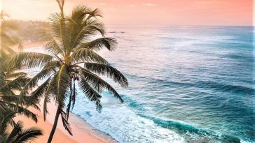 Best places to visit in Sri Lanka