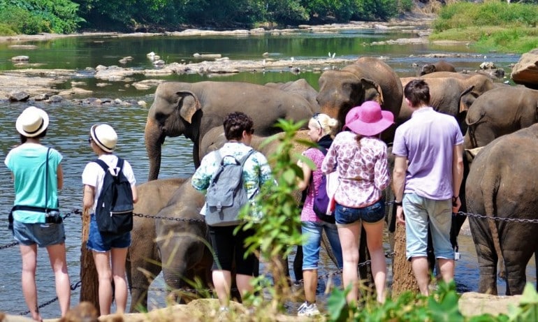 Tourists in Sri Lanka