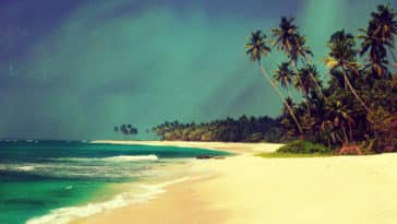 Sri Lanka in CNN’s ‘best places to visit in 2020’ list